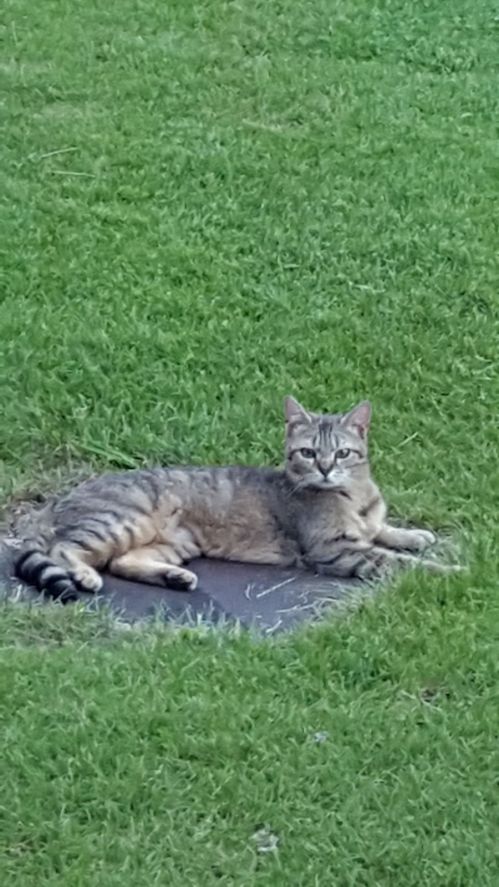 IMG-20171220-WA0008[1783]