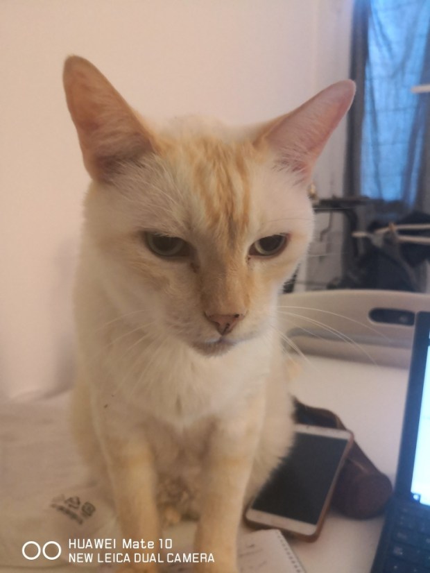 IMG_20190907_194419_resized_20190907_103314608(2)