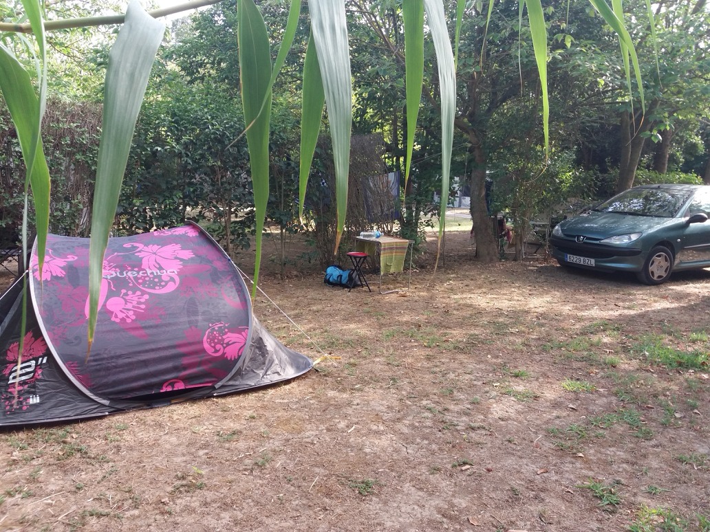 20170803_180127_resized_20200311_015054684